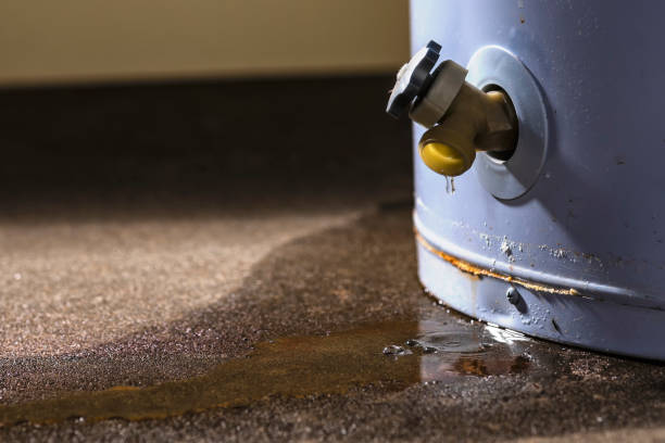 Best Water damage restoration near me  in Tonganoxie, KS