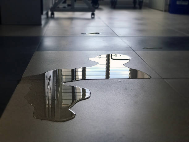 Best 24-hour water damage restoration  in Tonganoxie, KS