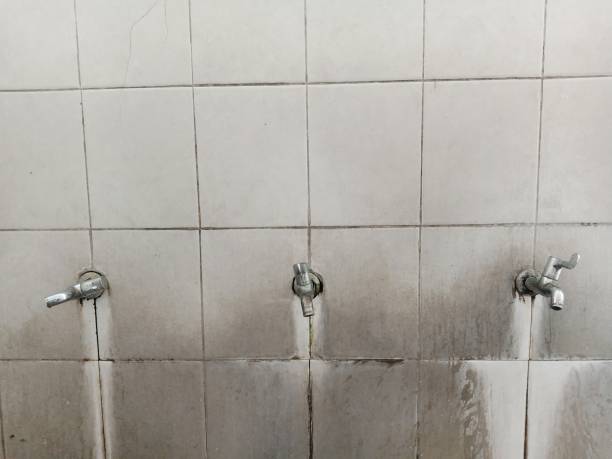Best Professional water damage repair  in Tonganoxie, KS